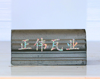 小筒脊